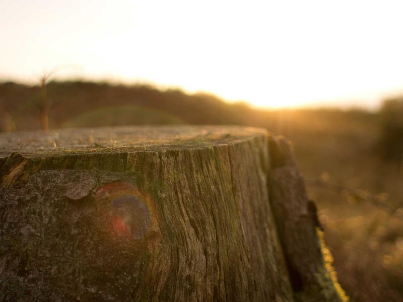 sudoku medium screenshot 3